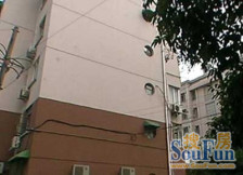 文艺别墅,阳光明媚 电梯房,经典温馨三房