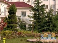 新上急售房源 楼层好 南北通 全明户型 采光无遮挡