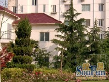 九亭苑 2室2厅 南 北