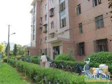 无抵押 满五,必看好房