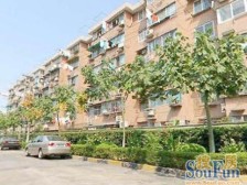 高兴花园一街坊 1室1厅 南