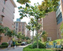 南北通透,近商圈,交通便利,精装修,价格好谈,业主急售