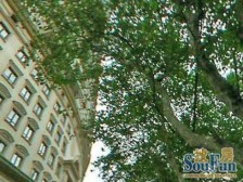 衡复优秀历史保护区,衡山路41号公馆,精装修一室户