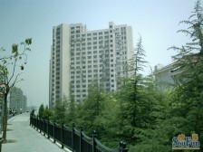 金桥新家园+景观电梯房+05年商品小区+诚意出售