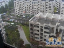 金桥新家园+景观电梯房+05年商品小区+诚意出售