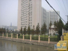 金桥·金桥新家园·3室·2厅