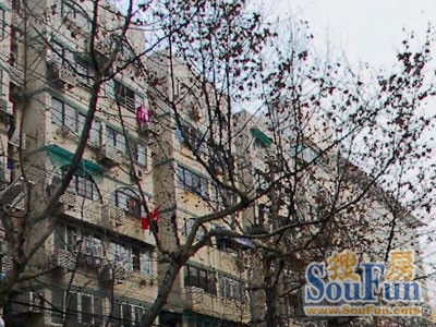 将军巷住宅实景图