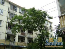 洋泾·泾**区-博山路11弄·3室·1厅