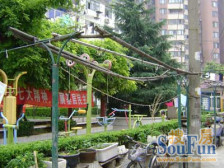 泾东小区1室1厅南