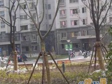 新上两房 位置佳 采光好 近商圈 买东西便利