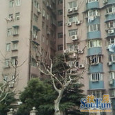 大区推荐新村路地铁80米 电梯两房 全明户型 业主诚售