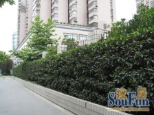 江南造船新苑3室南朝向1180.00万元/套出售