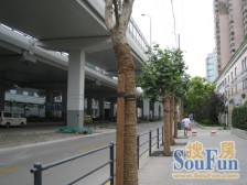 江南新苑 2室2厅 南 东