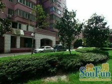 高区采光无遮挡,隔音效果好,50万精装修,拎包入住