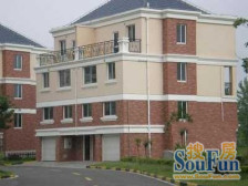 鱼塘、休闲屋、地下室,生活很惬意