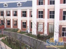 新上房源 新城价格chaodi的大三房错过再无