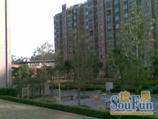 证大家园(五期) 4室2厅 南