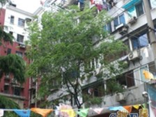 老静安江宁商圈 经典朝南大一房 低楼层 近地铁