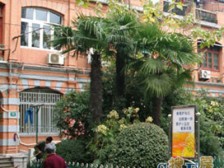 新丰小区 1室1厅 南