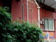 地铁口300 米 老静安江宁商圈装修好一居室 采光好