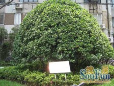 马当小区2室1厅1卫南朝向850.00万元/套出售