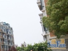 有固定车位,品质小区, 精装修 ,一梯两户 ,采光好