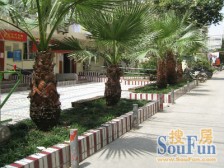 电梯房,近地铁,主卧朝南,加装电梯