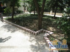 电梯房,近地铁,业主诚意出售,看房方便