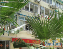 电梯房,小户型,装修齐全,带家具家电,闹中取静,简约风格