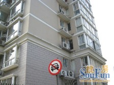 近地铁 电梯房 精装 现场实勘 必看好房