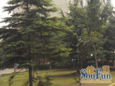 此房满五,全明户型,动静结合,视野宽阔,采光充足