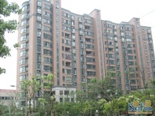 维多利华庭 1室1厅 南