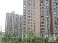 维多利新上!花园位置,精装全送,业主自住