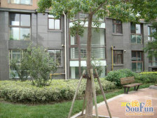 楼上带大露台,复式户型上下平层景观楼层,位置安静