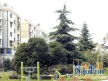 金桥·荷一小区·2室·1厅