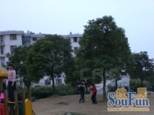 不靠马路 位置好 有钥匙随时可以看 全明户型