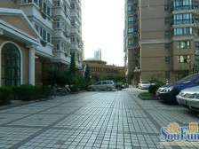 徐汇 南模初级 精致房源,好房出售!!交通 方便