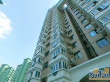 虹桥丽园1室南朝向800.00万元/套出售