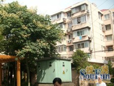 地铁18号线+6号线+江浦路隧道,采光无遮挡,进才北校