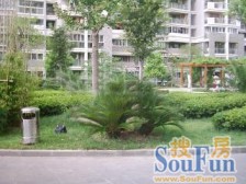 曹家渡·静安丽舍·6室·3厅