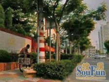 凉城 · 宏苑 · 3室 · 1厅