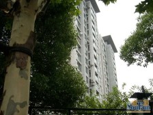 进才北校,百万豪装,高区景观,采光很好,看房随时!