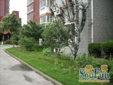 近地铁 满五 产权清晰,电梯房 必看好房