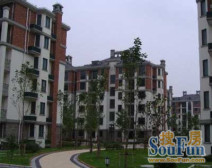 金港花园二期中层精装大两房可直接拎包入住工程大附属