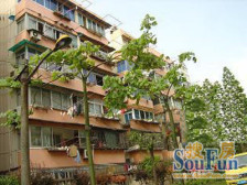 近地铁,精装,无抵押刚需上车,必看好房