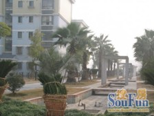 新上好房,05年小区电梯房,采光很好,满五。幸价比超高