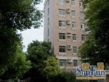 金汇花园三街坊先锋公寓 2室1厅 南 北