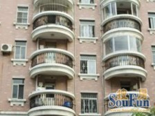 金汇花园三街坊先锋公寓 2室1厅 南 北