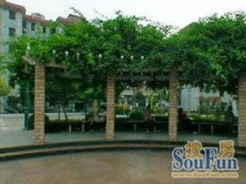 金汇·金汇三街坊先锋公寓·2室·1厅