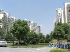 竹园,文峰加盒马加三甲医院加金桥国际